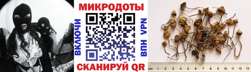 Псилоцибиновые грибы GOLDEN TEACHER Унеча