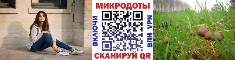 Галлюциногенные грибы Cubensis Унеча